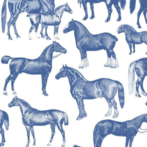 SF blue horse SMALL pattern