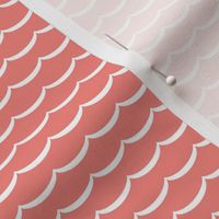 Coral scallop allover print