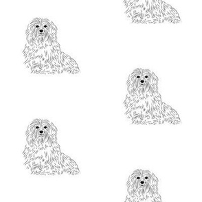 Havanese Line Art - abt 2 1/2" tall