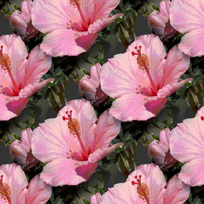 hybiscus_pink_material_pattern