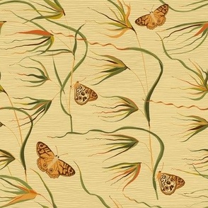 Kangaroo Grass with Butterflies