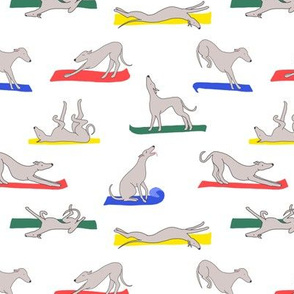 Doggy Yoga, white multi