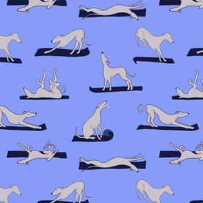 Doggy Yoga, blue