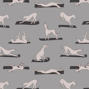 Doggy Yoga, Grey