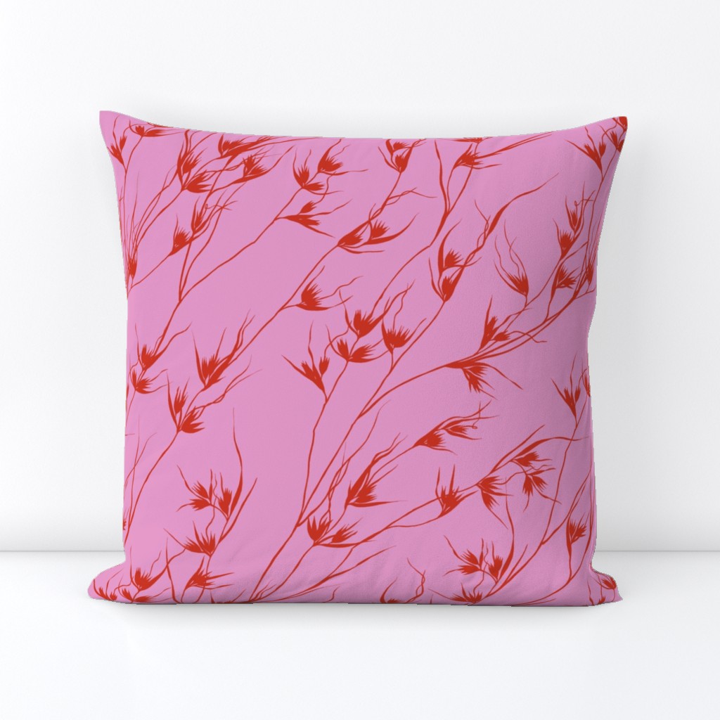 Kangaroo Grass (pink)