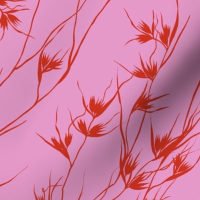 Kangaroo Grass (pink)