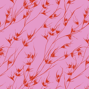 Kangaroo Grass (pink)