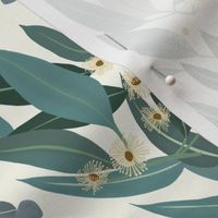 Eucalyptus - medium