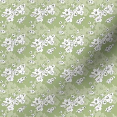 Sakura Baby Branch // Normal Scale // Light Green Background // Boho Nature // White Flowers // Spring Mood