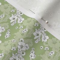 Sakura Baby Branch // Normal Scale // Light Green Background // Boho Nature // White Flowers // Spring Mood