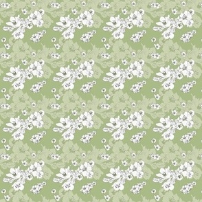 Sakura Baby Branch // Normal Scale // Light Green Background // Boho Nature // White Flowers // Spring Mood