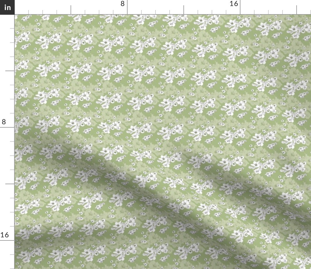 Sakura Baby Branch // Normal Scale // Light Green Background // Boho Nature // White Flowers // Spring Mood