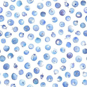 watercolor blueberries