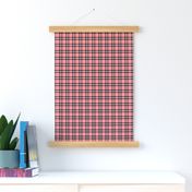 Light Pink Plaid - Small (Watermelon Collection)