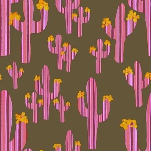 Hot Pink Cacti Bearing Flowers