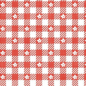 Sofia Gingham Floral-Red
