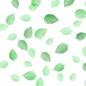 Green Leaves on White