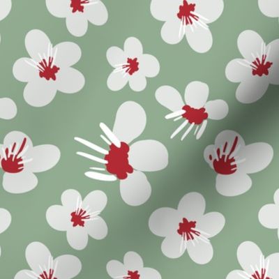 Medium White and Red Blossom Flowers / Sage Green