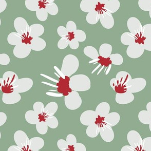 Medium White and Red Blossom Flowers / Sage Green