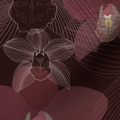 Chocolate Cymbidium // Large Scale // Brown Background // Tropical Orchids // Cymbidium Orchids // Lines Art //