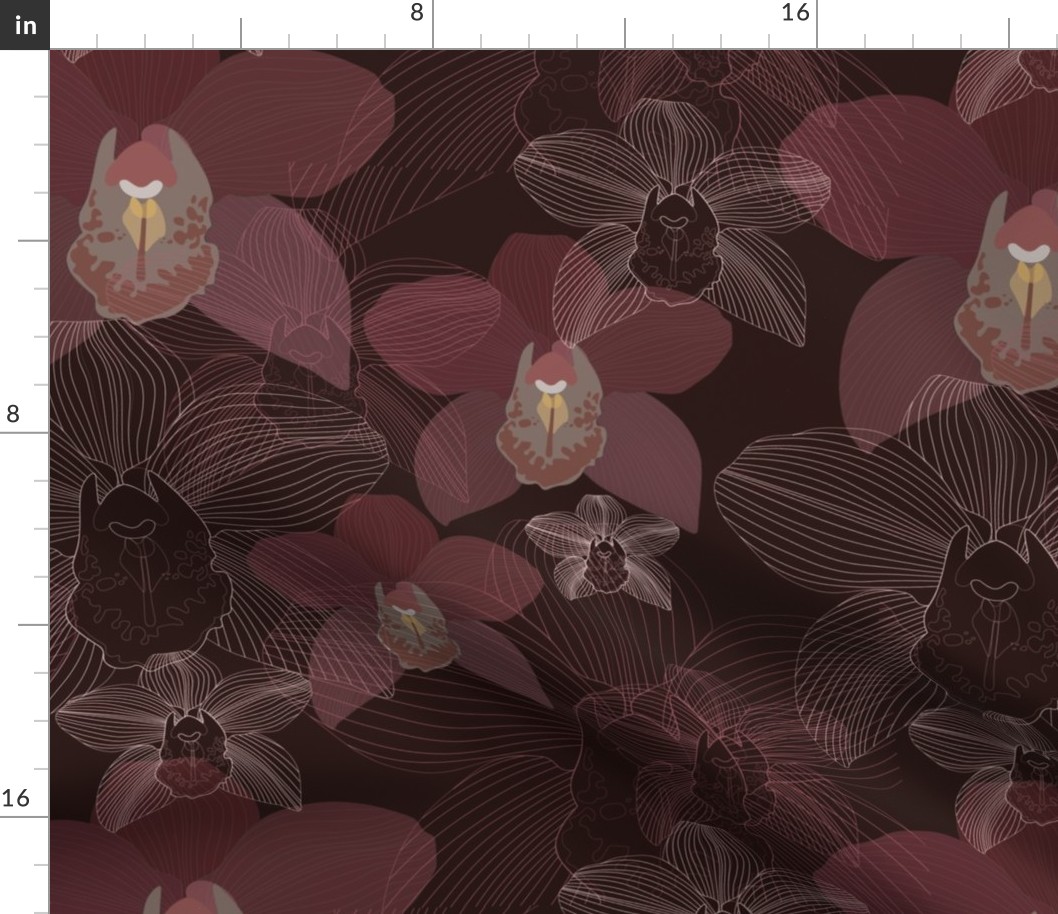 Chocolate Cymbidium // Large Scale // Brown Background // Tropical Orchids // Cymbidium Orchids // Lines Art //