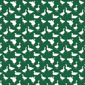 Geese on Forest Green