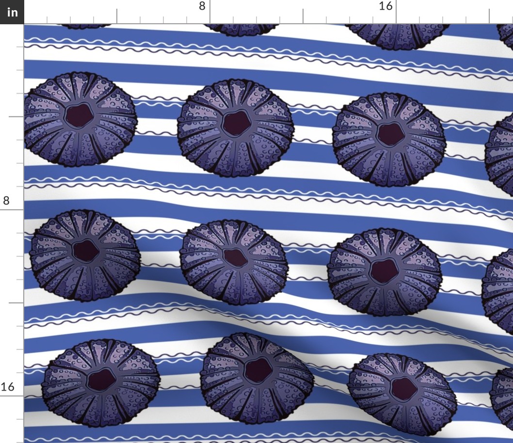 urchin wave-horizontal