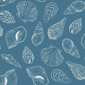 Outline seashells - blue
