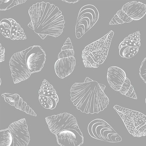 Outline seashells - grey