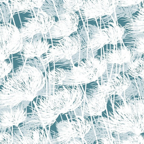 Cotton Grass Dream | Monochrome