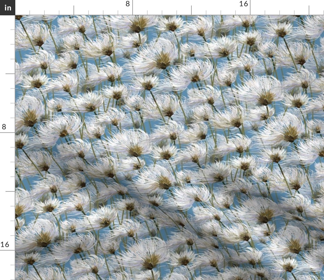 Cotton Grass Dream | Small | Warm Blue