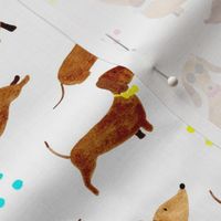 Dachshunds | Small Scale