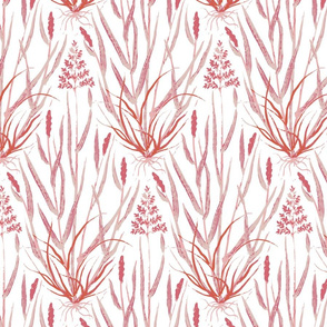 Wild Tussocks - red, pink, and white