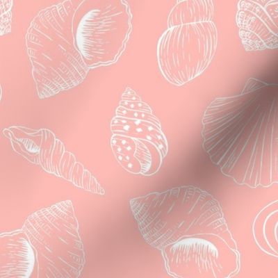 Outline seashells - pink