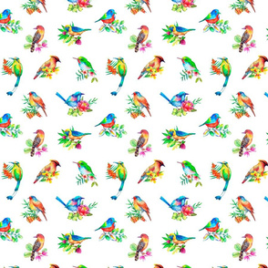 Collection of colorful birds watercolor seamless pattern on white