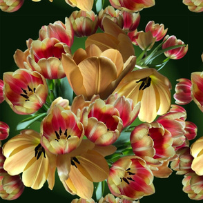 TulipBunch-01