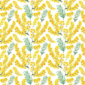 Mimosa flowers and leaves hand painted watercolor seamless pattern on white