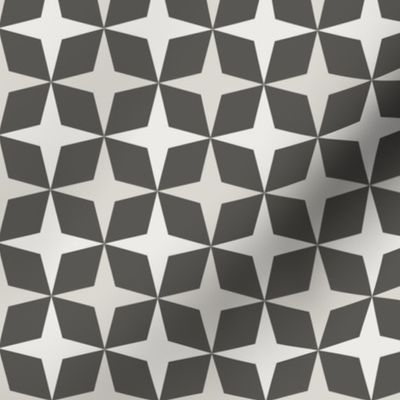 Geometric Pattern: Diamond Star: Slate