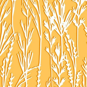 Large Abstract Wild Grass Wheat Field Yellow & White 