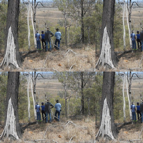 A Bushland View - Small Scale