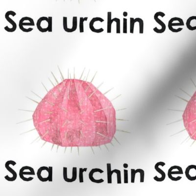 sea urchin  - 6" panel