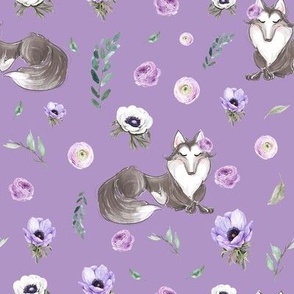 grey wolf purple