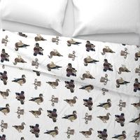 Wood Duck Pattern