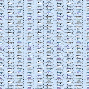 Royal Billfish Slam (Small) - Simple colour on pale blue background