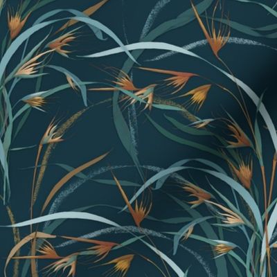 kangaroo grass