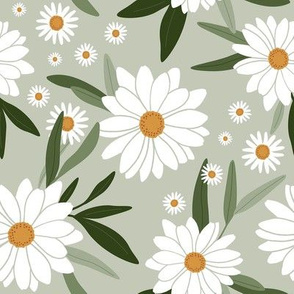 Daisies on Sage Green - Large Scale