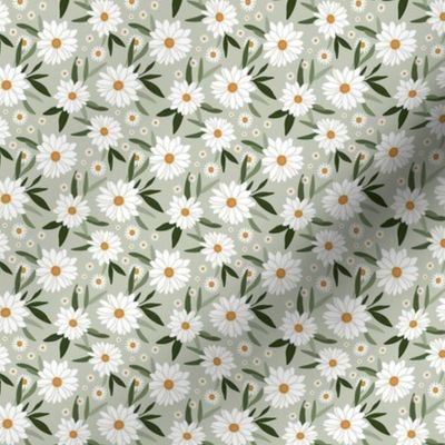 Daisies on Sage Green - Small Scale