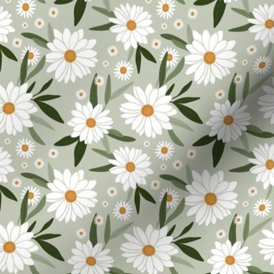 Daisies on Sage Green - Medium Scale