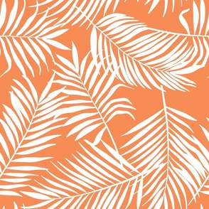 palm leaves on orange