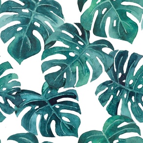 watercolor monstera leaves white